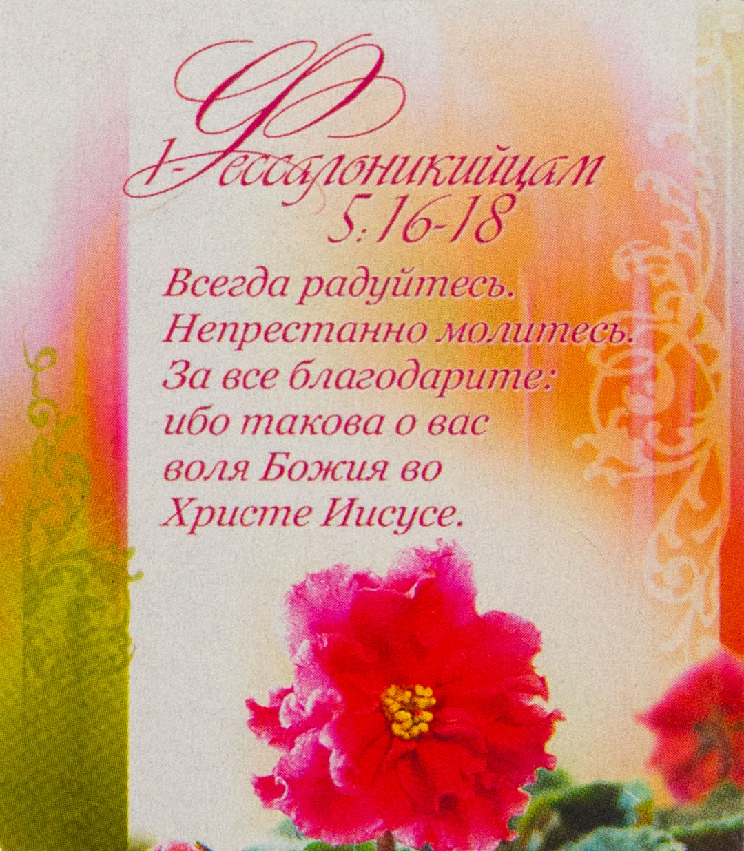 Магнит «Всегда радуйтесь...» - христианские подарки и сувениры -  Издательский Дом Христофор