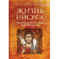 Жизнь Иисуса. Тысячелетняя тайна христианства