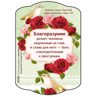 Благоразумие - магнит гибкий