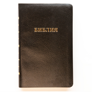 Библия (14х21,5см, чёрная кожа, золотой обрез, индексы, закладка, крупный шрифт)