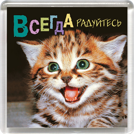 Магнит пластиковый квадратный "Всегда радуйтесь!" (котенок)