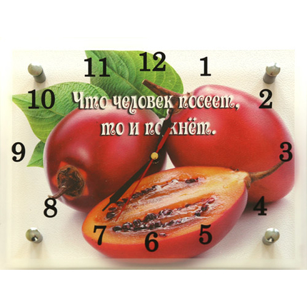 Часы настенные малые "Что человек посеет, то и пожнет" (код 46)