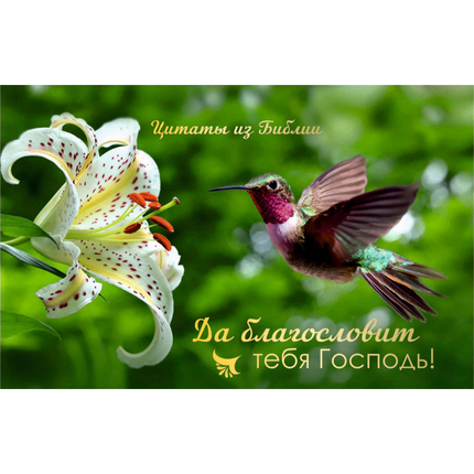 Библейский цитатник настольный перекиной на пружине "Да благословит тебя Господь!"