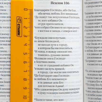 Библия в современном переводе (15х22см,бордовый термовинил, золотой обрез, закладка, крупный шрифт)