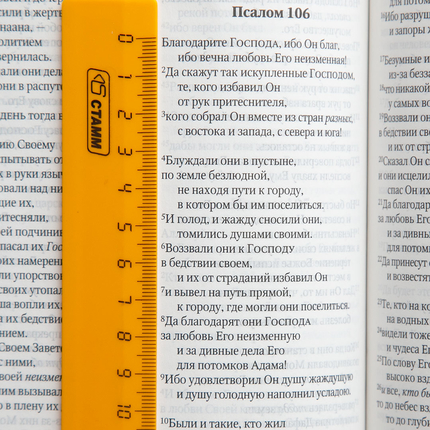 Библия в современном переводе (15х22см,тёмно-синий термовинил, серебряный обрез, закладка, крупный шрифт)