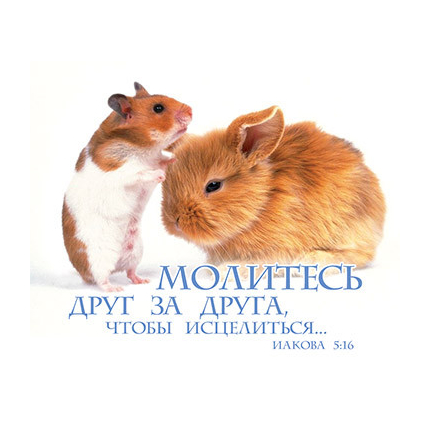 Молитесь друг за друга, чтобы исцелиться - открытка-карточка 8х9,5
