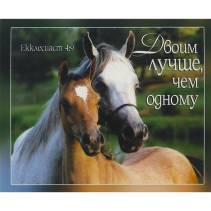 Двоим лучше, чем одному - открытка-карточка 8х9,5