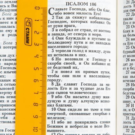 Библия ( 17х23,5см, искусств. кожа, малина, рамка борокко, надпись "Библия", золотой обрез, 2 закладки, слова Иисуса выделены жирным, крупный шрифт)