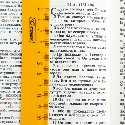 Библия ( 17х24см, тв. пер., ромашки, надпись "Библия", молния, 2 закладки, слова Иисуса выделены жирным, крупный шрифт)