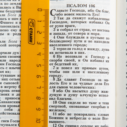 Библия ( 17х23,5см, искусств. кожа, бордо, золотая рамка, надпись "Библия", золотой обрез, индексы, 2 закладки, слова Иисуса выделены жирным, крупный шрифт)