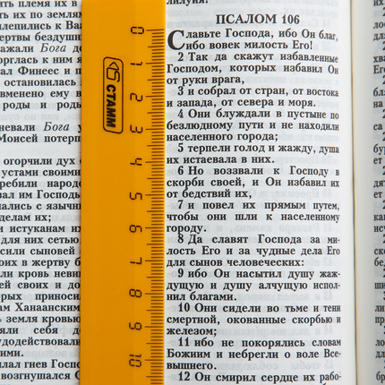 Библия ( 17х23,5см, искусств. кожа, янтарь, золотая рамка, надпись "Библия", золотой обрез, индексы, 2 закладки, слова Иисуса выделены жирным, крупный шрифт)