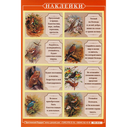 Наклейка листовая А5 (НЛ012) Птицы,