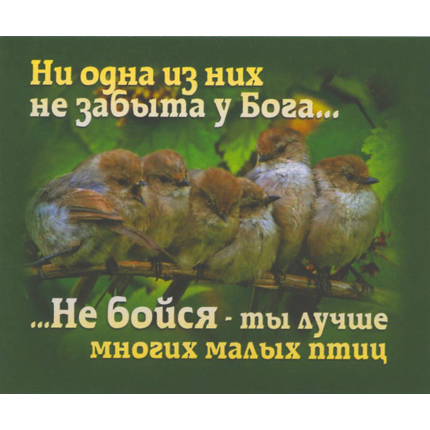 Ни одна из них не забыта у Бога… Не бойся, ты лучше многих малых птиц - открытка-карточка 8х9,5