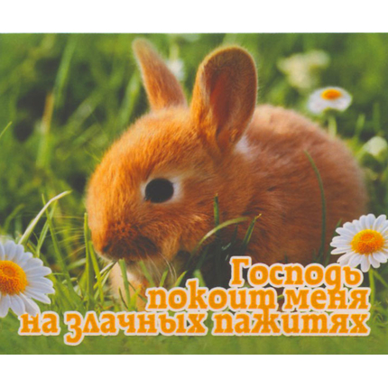 Господь покоит меня на злачных пажитях - открытка-карточка 8х9,5