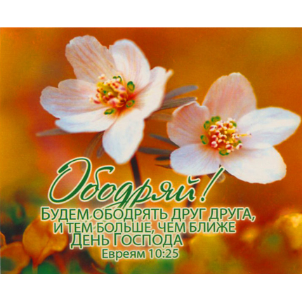Ободряй! - открытка-карточка 8х9,5