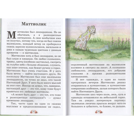 Рассказы Белого Енота