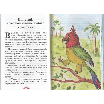Рассказы Белого Енота