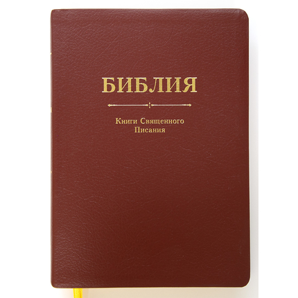 Библия (17х24см, бордовая кожа, золотой обрез, индексы закладка, крупный шрифт)