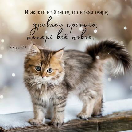 Календарь настенный перекидной на скрепке на 2027 год - Мудрость Божьего творения
