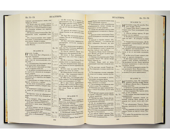 Библия каноническая с параллельными местами (чёрный)