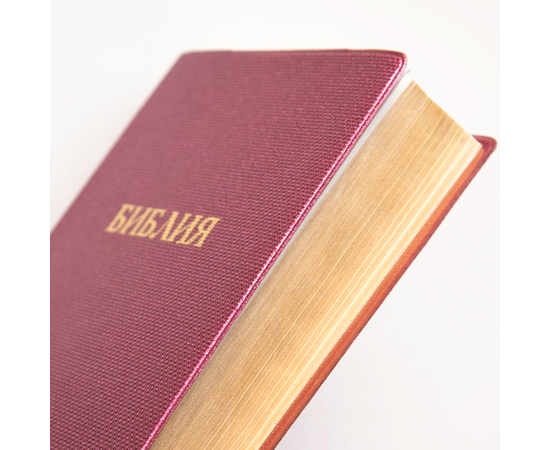 Библия каноническая (12х18,5см, гибкая обл., серебристо-фиолетовый, золотой обрез, 2 закладки)