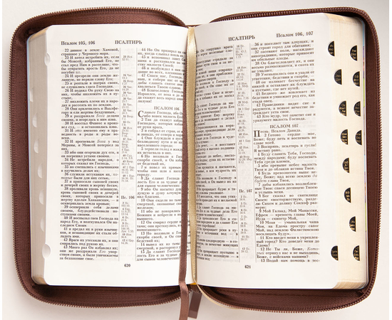 Библия каноническая (12х19см, светло-коричневая кожа, золотой обрез, индексы, молния, 2 закладки)
