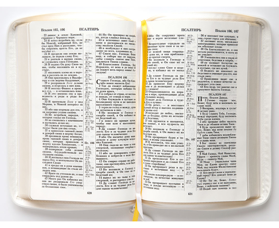 Библия (18х24,5, натуральная кожа, белый, Золотая рамка с виноградной лозой, молния, 2 закладки, слова Иисуса выделены жирным, крупный шрифт)