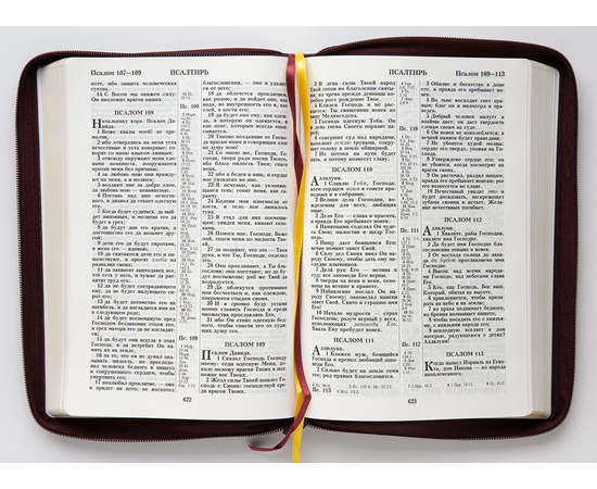 Библия (18х24,5, искусств. кожа, тёмно-бордовый, Терновый венец, молния, 2 закладки, слова Иисуса выделены жирным, крупный шрифт)