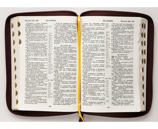 Библия (18х24,5, искусств. кожа, коричневый с оттенком бордо металлик, Рамка барокко, молния, индексы, 2 закладки, слова Иисуса выделены жирным, крупный шрифт)
