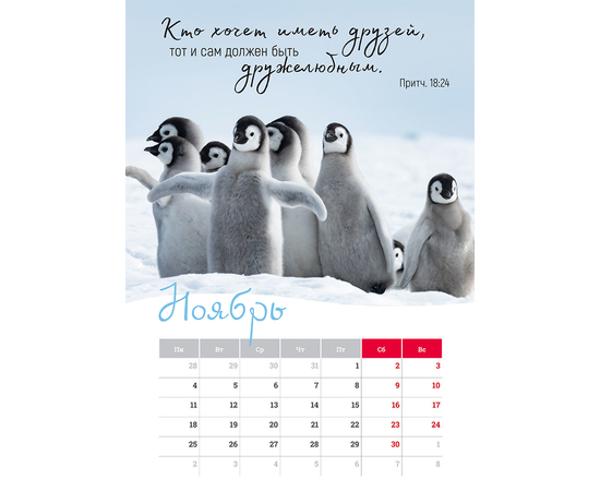 Календарь настенный перекидной на пружине на 2024 год - Мудрость Божьего творения