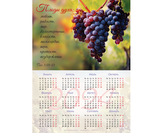 Календарь листовой (25х34см) на 2024 год - Плоды духа! (виноград)