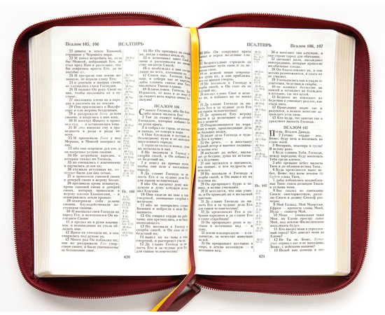 Библия (14,3х22см, искусств. кожа, бордо, "Рамка барокко", молния, золотой обрез, 2 закладки, слова Иисуса выделены жирным, средний шрифт)