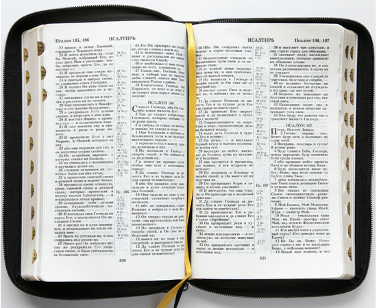 Библия (14,3х22см, натуральная кожа, чёрный, золотая рамка с орнаментом, молния, золотой обрез, индексы, 2 закладки, слова Иисуса выделены жирным, средний шрифт)