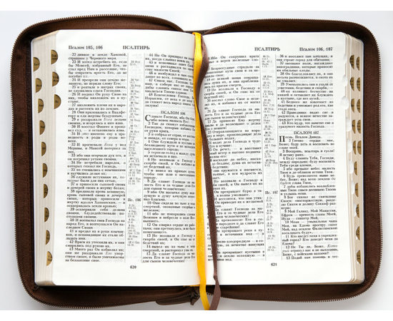 Библия (14,3х22см, натуральная кожа, коричневый пятнистый, надпись "Библия" с вензелем, молния, золотой обрез, индексы, 2 закладки, слова Иисуса выделены жирным, средний шрифт)