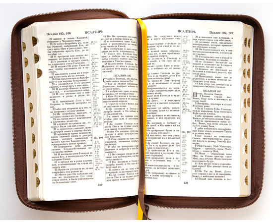 Библия (14,3х22см, натуральная кожа, коричневый, "Золотая рамка с виноградной лозой", молния, золотой обрез, индексы, 2 закладки, слова Иисуса выделены жирным, средний шрифт)