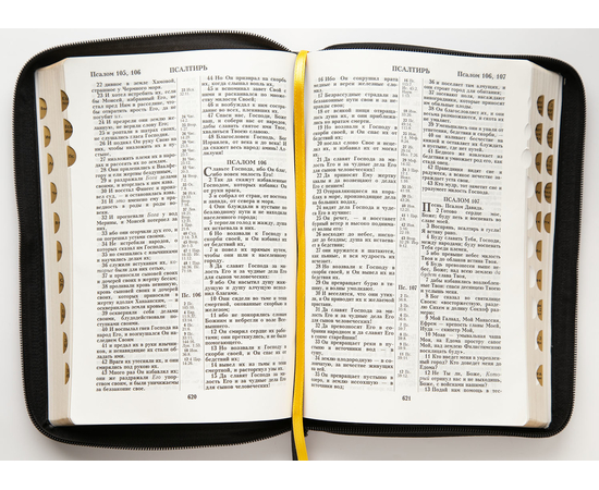 Библия (18х24 см, исск. кожа, черный, дизайн "Рамка барокко", молния, золотой обрез, индексы, 2 закладки, слова Иисуса выделены жирным, крупный шрифт)